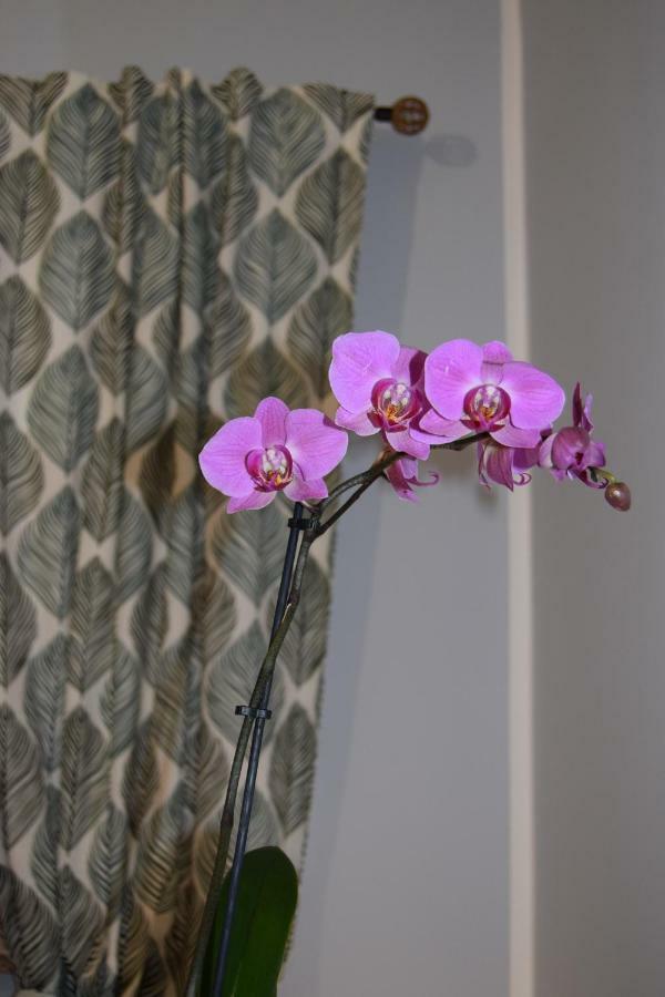 Domunua Holiday House เชฟาลู ภายนอก รูปภาพ